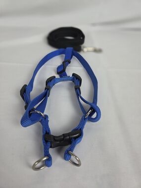 Blue Adjustable Dog Harness and Leash Set